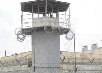 რუსთავის ქალთა ციხეში  ბრალდებული გარდაიცვალა