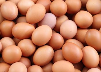 წელს საქართველომ 5 მლნ კვერცხი იყიდა – შარშან იმპორტი ნულოვანი იყო