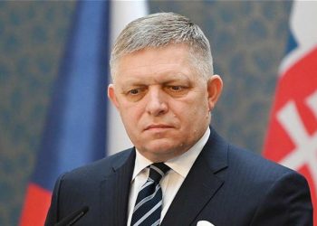 ქართველი ბიზნესმენი ოკუპირებული დონეცკიდან ქვანახშირისა და ლითონის შემოტანას გეგმავს