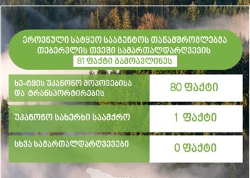 ეროვნულმა სატყეო სააგენტომ თებერვალში სამართალდარღვევის 81 ფაქტი გამოავლინეს