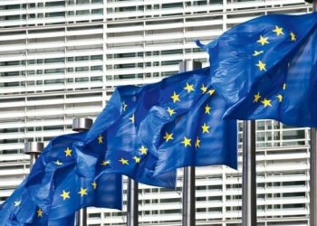 ბრიუსელში, ევროკავშირის ზოგად საქმეთა საბჭოს შეხვედრის დაწყებამდე საქართველოს შესახებ კომენტარები გაკეთდა