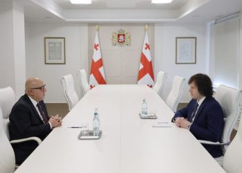 ირაკლი კობახიძემ თურქეთის ელჩთან გამოსამშვიდობებელი შეხვედრა გამართა