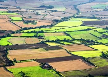 20-წლიანი ინტერვალის შემდეგ, საქართველოში მიწის რესურსების მონაცემთა ერთიანი ბაზა შეიქმნა