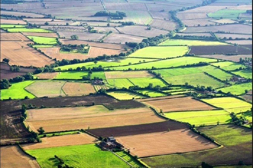 20-წლიანი ინტერვალის შემდეგ, საქართველოში მიწის რესურსების მონაცემთა ერთიანი ბაზა შეიქმნა