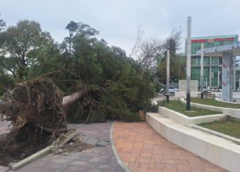 ძლიერმა ქარმა სამტრედიაში პრობლემები შექმნა