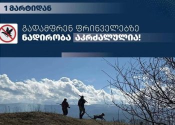 გადამფრენ ფრინველებზე ნადირობა აიკრძალა აგვისტომდე