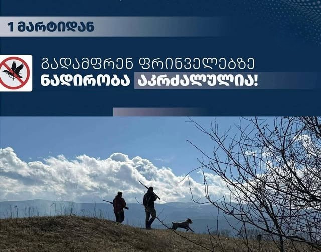 გადამფრენ ფრინველებზე ნადირობა აიკრძალა აგვისტომდე
