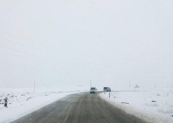 რა ვითარებაა გზებზე – უახლესი ინფორმაცია მძღოლებს