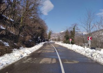 საავტომობილო გზების დეპარტამენტი მძღოლებს აფრთხილებს