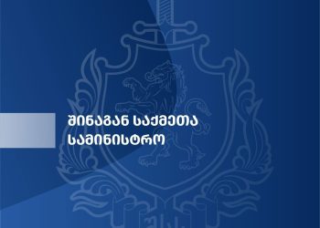 დაკავებულია სხვადასხვა ნეონაცისტური დაჯგუფებისა და ფაშისტური იდეოლოგიის მხარდამჭერი 13 პირი, მათ შორის 7 არასრულწლოვანი – შსს