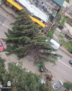 ძლიერმა ქარმა თბილისში პრობლემები შექმნა - რა ვითარებაა ქალაქში?