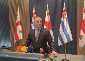 დავით გაბაიძემ აჭარის უმაღლესი საბჭოს თავმჯდომარის პოსტი დატოვა