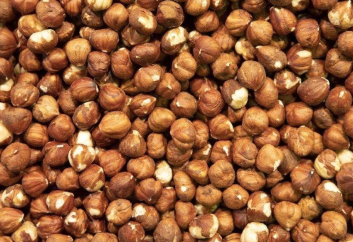 თებერვალში საქართველოდან 19.3 მლნ აშშ დოლარის ღირებულების თხილი გავიდა – სოფლის მეურნეობის სამინისტრო