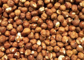 თებერვალში საქართველოდან 19.3 მლნ აშშ დოლარის ღირებულების თხილი გავიდა – სოფლის მეურნეობის სამინისტრო