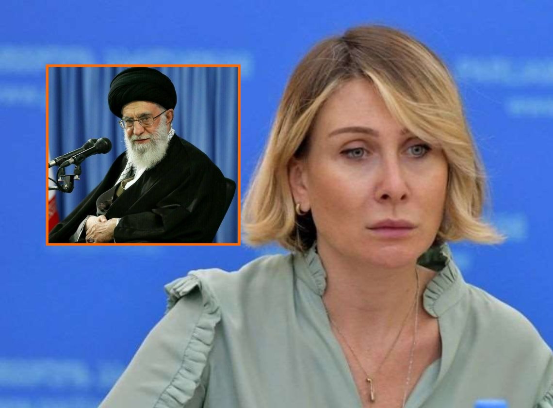 “ყველა ქვეყნის კანონმდებლობაში მკვლელის მკვლელობა არ არის მისალმების საგანი” – ნინო წილოსანი