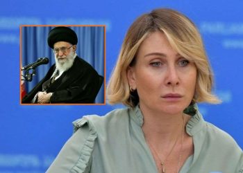 “ყველა ქვეყნის კანონმდებლობაში მკვლელის მკვლელობა არ არის მისალმების საგანი” – ნინო წილოსანი