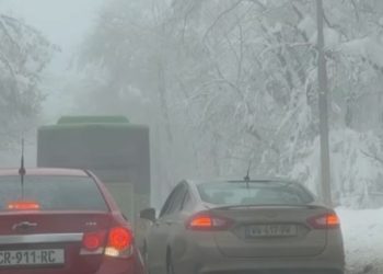 “წყნეთიდან კოჯრის მიმართულებით გზა არის ჩახერგილი… ნახევარი საათია ვდგავართ, როგორც ყოველთვის ჩვენი პატრონი არავინ არის”  – წერს მოქალაქე