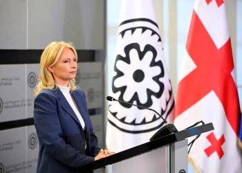 “იმედის ბანკზე” განაცხადი ჯერ არ შემოსულა” – ნათია თურნავა