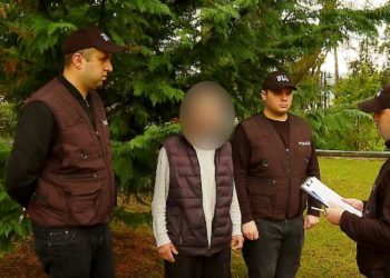 ძალადობის, მუქარისა და გაუპატიურების ბრალდებით ერთი პირი დავაკავეს