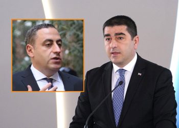 “გუშინ ვისმინეთ ბატონი ვაშაძისგან –  პატიოსანიო, პროფესიონალიო, პატრიოტიო…  პ-თი დაწყებულ სიტყვებს ნუ ეთამაშებიან, შეიძლება სხვა სიტყვებიც მოჰყვეს” – შალვა პაპუაშვილი