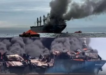 ჰორმუზის სრუტეში ტაილანდური საკონტეინერო გემი იწვის