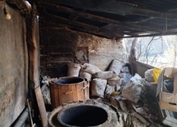 სურსათის ეროვნულმა სააგენტომ გორში ხორცპროდუქტების შესაბოლი არალეგალური საწარმო გამოავლინა