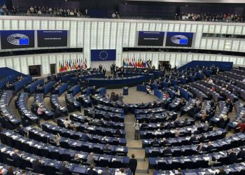 ევროპარლამენტის ანგარიში საქართველოზე – დოკუმენტში 305 შესწორება შევიდა