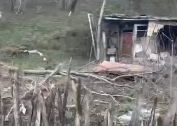 ტყიბულის მუნიციპალიტეტში მეწყერი ჩამოწვა – რა ვითარებაა ადგილზე