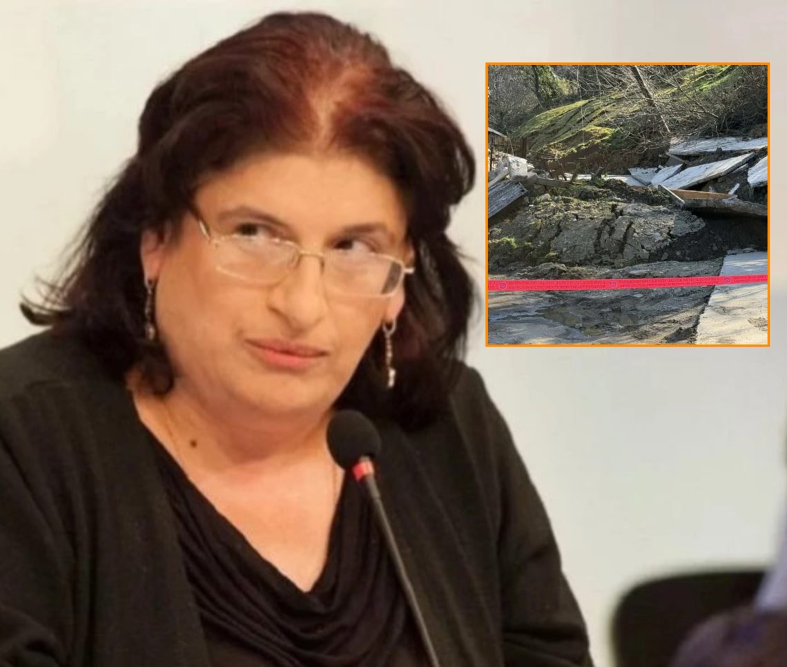 “ტყიბულის მუნიციპალიტეტში ძალიან დეტალური აღრიცხვები მიმდინარეობს სპეციალისტების მხრიდან… გარშემოც ნახულობენ არის თუ არა საფრთხეები” –  ნინო ჩხობაძე “მეტრონომთან”