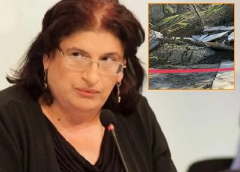 “ტყიბულის მუნიციპალიტეტში ძალიან დეტალური აღრიცხვები მიმდინარეობს სპეციალისტების მხრიდან… გარშემოც ნახულობენ არის თუ არა საფრთხეები” –  ნინო ჩხობაძე “მეტრონომთან”