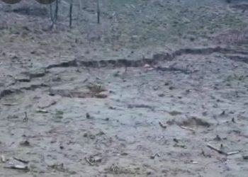 ტყიბულის მუნიციპალიტეტის სოფელ კურსების შემდეგ, მეწყრული პროცესი სოფელ ბუეთშიც განვითარდა