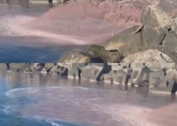 სოციალურ ქსელში ვრცელდება ვიდეო, სადაც ჩანს, რომ ფოთის ზღვაში დაუდგენელი ნივთიერება ჩაედინება