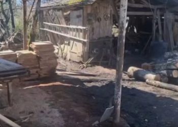 ზუგდიდის, მარტვილისა და ხობის მუნიციპალიტეტებში უკანონო სახერხი საამქროები გამოავლინეს