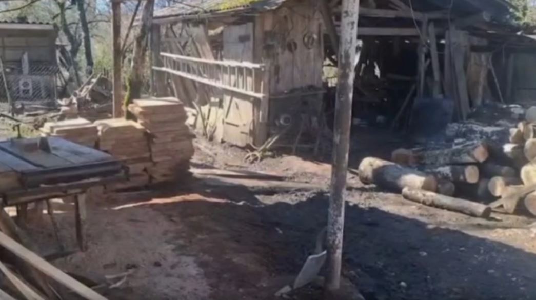 ზუგდიდის, მარტვილისა და ხობის მუნიციპალიტეტებში უკანონო სახერხი საამქროები გამოავლინეს