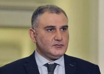 “უნდა დავაკვირდეთ პროცესებს დინამიკაში, ასაკის გათვალისწინებით, ბევრი რამ დამოკიდებულია ორგანიზმზე, მკურნალობა მიმდინარეობს სწორედ ისე, როგორც უნდა მიმდინარეობდეს” – მიხეილ სარჯველაძე