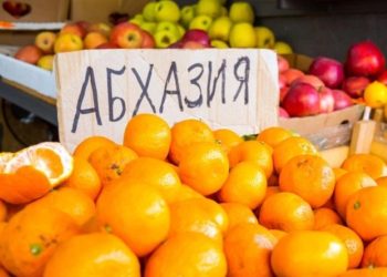 ოკუპირებული აფხაზეთიდან რუსეთში 33 347 ტონა ციტრუსი გაიყიდა