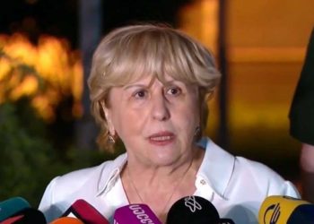 “არანაირ კავშირში ჩემი შვილის საქმიანობასთან ეს უნივერსიტეტი არ ყოფილა და არ არის” – გიული ალასანია