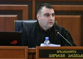 მოსამართლე გიორგი არევაძე განმარტავს, რატომ გამოიტანა ელენე ხოშტარიას მიმართ გამამტყუნებელი განაჩენი