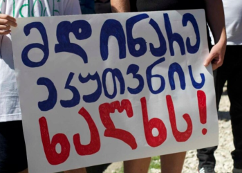 ბალდის კანიონის საქმეზე სახალხო დამცველმა სასამართლოს მეგობრის მოსაზრება წარადგინა