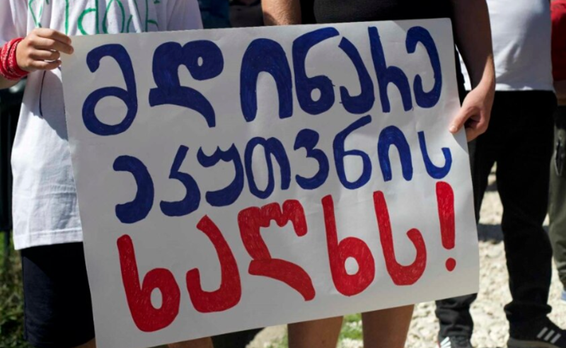 ბალდის კანიონის საქმეზე სახალხო დამცველმა სასამართლოს მეგობრის მოსაზრება წარადგინა