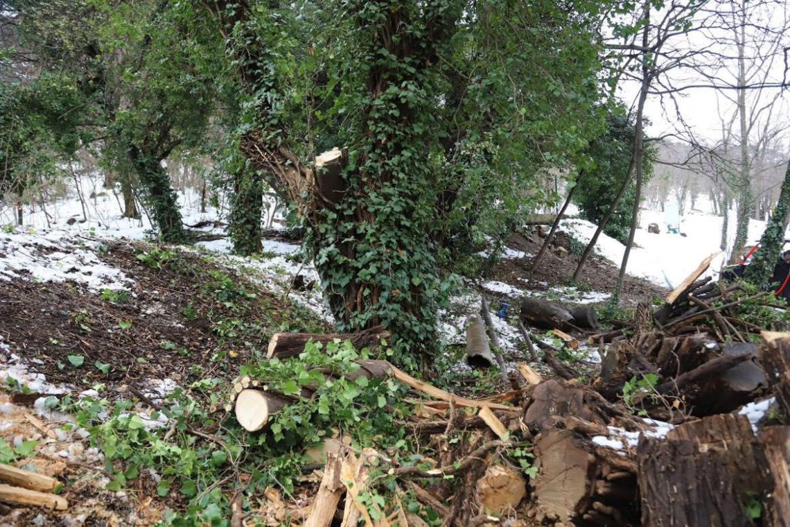 ბოტანიკური ბაღი ვიზიტორებისთვის დროებით დაკეტილია