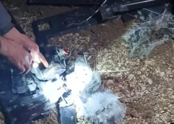 ოკუპირებულ აფხაზეთში 30 დრონის აღმოჩენას ადასტურებენ