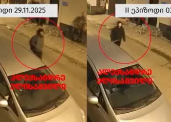 “არქივის ოთახში შეაგდო ნავთობპროდუქტის შემცველი აალებული ნივთიერება, რის შედეგადაც ოთახში გაჩნდა ხანძარი”- ალეკო ელისაშვილს ახალი ბრალი წარუდგინეს