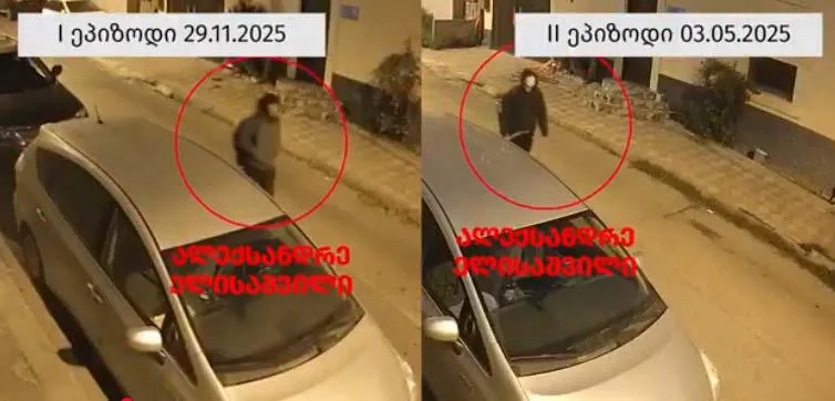 “არქივის ოთახში შეაგდო ნავთობპროდუქტის შემცველი აალებული ნივთიერება, რის შედეგადაც ოთახში გაჩნდა ხანძარი”- ალეკო ელისაშვილს ახალი ბრალი წარუდგინეს