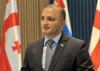 აჭარის უმაღლესი საბჭოს თავმჯდომარე დავით გაბაიძე თანამდებობას ტოვებს