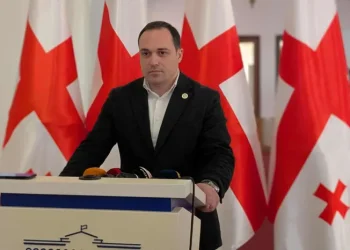 “თამარ ბაგრატიონის აშშ-ში ვიზიტი იყო ძალიან წარმატებული…მან აზრი შესანიშნავად ჩამოაყალიბა” – გიორგი გაბუნია