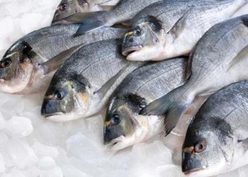 საქსტატის მონაცემებით, ქართული თევზის ექსპორტი 1 310%-ით გაიზარდა, იმპორტი – 36%-ით გაძვირდა