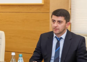 ვლადიმერ ღუდუშაურს საპროცესო შეთანხმება სურს – ადვოკატი