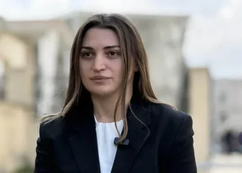 “როცა რამდენიმე ათეული მოძალადის ქმედებები იდენტურია და ხორციელდება ერთ დღესა და ერთ სივრცეში, ეს წარმოადგენს ორგანიზებულ ჯგუფურ ძალადობას” – პროკურორი