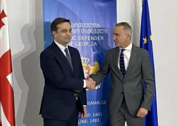 ეუთო-ს საპარლამენტო ასამბლეის პრეზიდენტი სახალხო დამცველს ხვდება